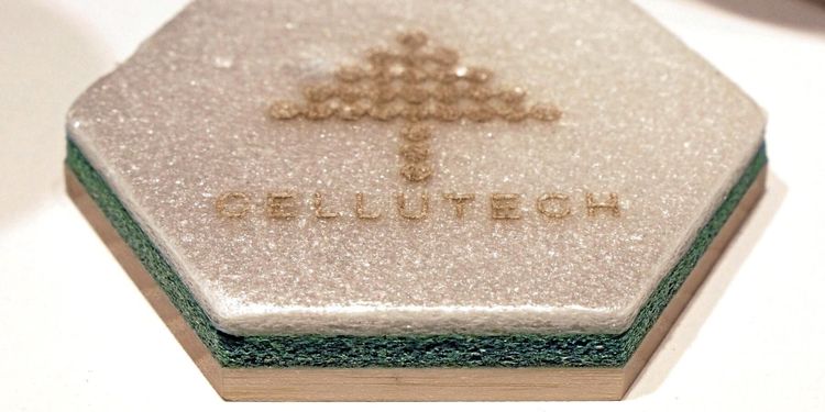 Stora Enso satsar på nya material från trä