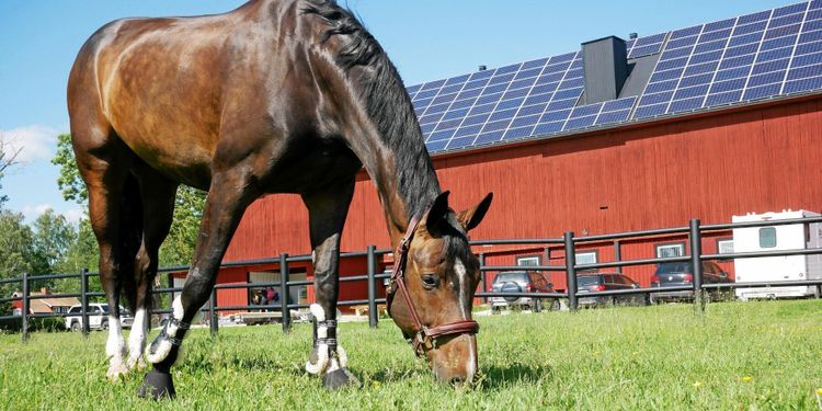 ATL TV: Solceller ger halva årsförbrukningen
