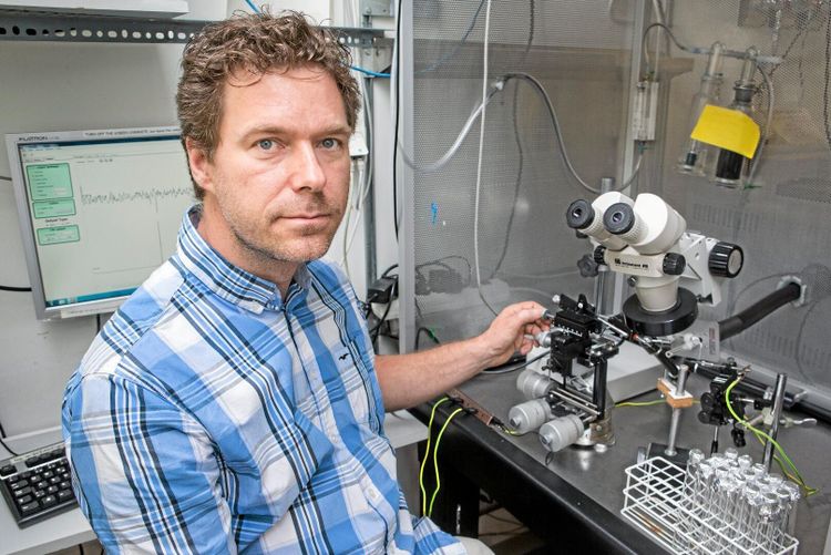 Feromoner ska stoppa snyltgäst