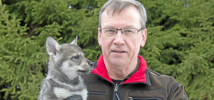 Jämthunden ohotad i jakttoppen