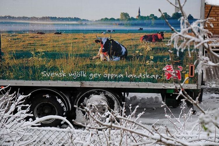 Kaosrisk i stan – på landsbygden rullar det på