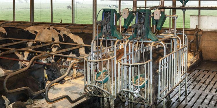 Ko-toalett ska ge renare golv och bättre djurhälsa