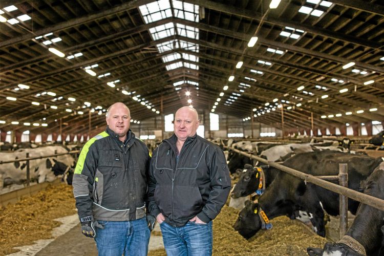 Bröder får HK Scans miljöpris