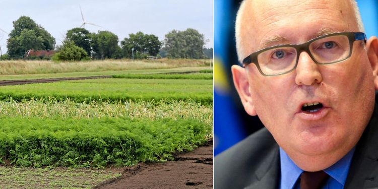 En rad EU-planer påverkas av pandemin