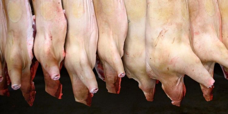 Slakteri fälls för miljöbrott – ska betala 50 000 i böter