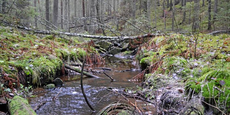 Satellitövervakning avslöjar