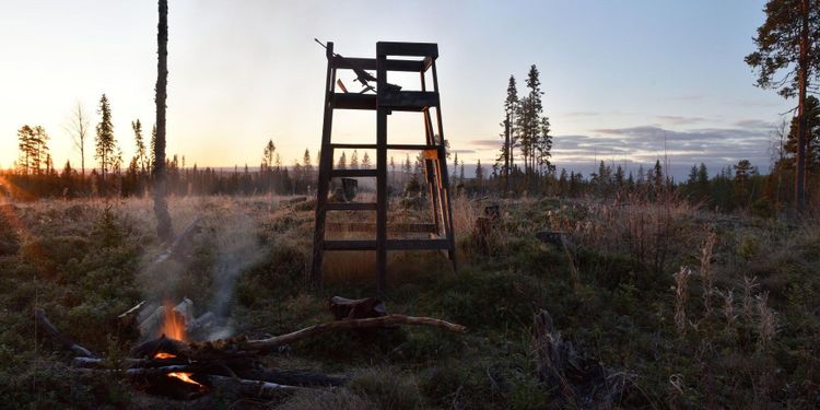 ”Stängda gränser förstör naturvården”