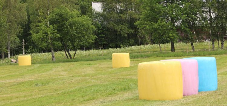 Tung trio stödjer barncancerforskning