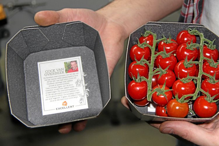 Det finns goda förutsättningar att öka växthusnäringen i Sverige. Men finansieringen sätter stopp för många projekt.