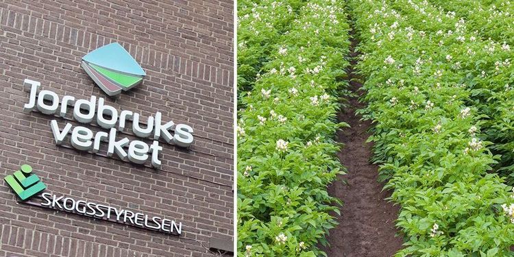 Svårt få ersättning för odlare i karantän