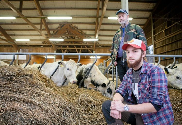 Han gjorde affärside av fjällkorna