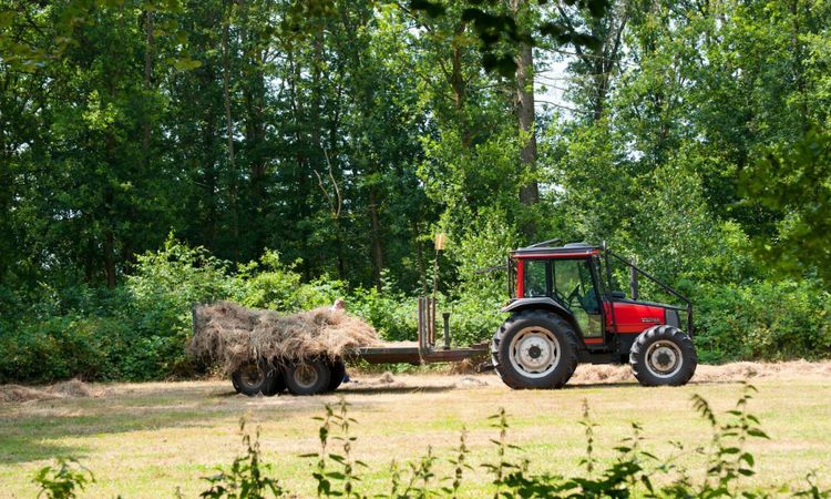 Bensin och diesel fortsätter dyka i pris