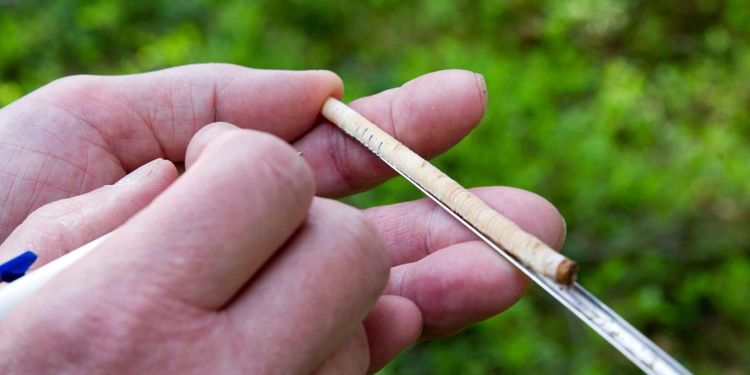 Laserdata kan ge koll på tillväxten