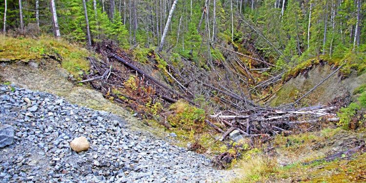 Nya råd ska minska risken för ras