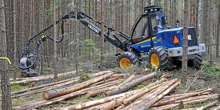 Rottne SMV varslar i Stensele