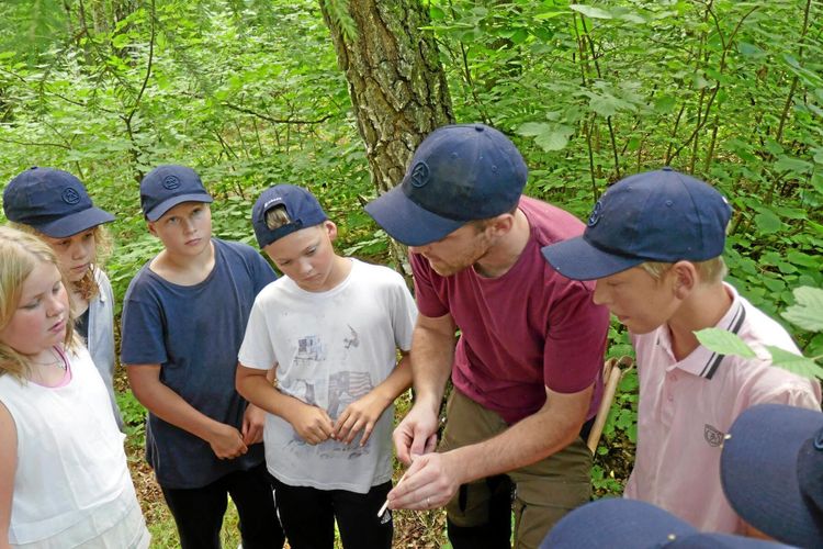 Kul på kollo i skogen