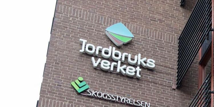 Här är arbetsplatsen unga drömmer om