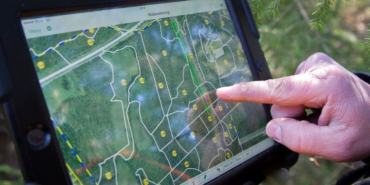 Nytt projekt ska utveckla skogsbruksplanerna