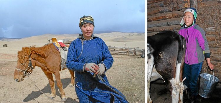 Från nomad till bofast mjölkbonde