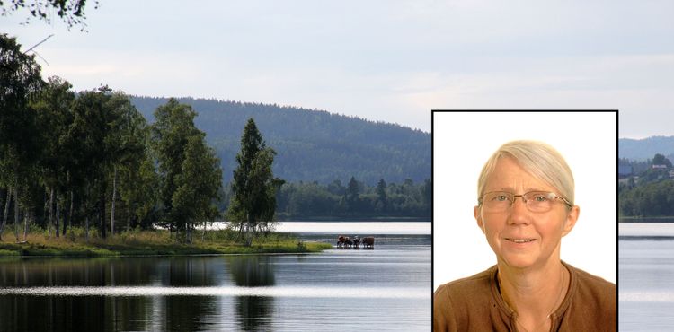 Strandskydd: Gäller kartan eller verkligheten?