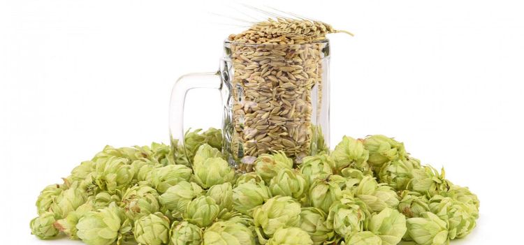 Så reagerar Ölsverige på ATL:s nyhet