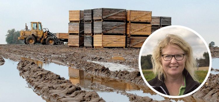 ”Svenskodlat måste bli lönsamt”