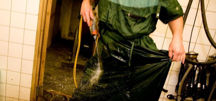 Fler veterinärer får en erinran