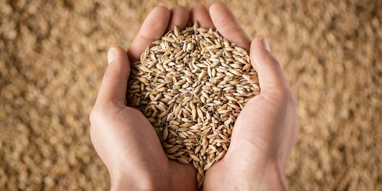 Efter börsnoteringen – Bomill redovisar förlust