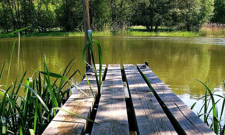 Har staten rätt att konfiskera din brygga?