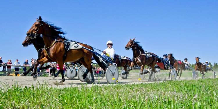 Riksintaget i fara på Wången