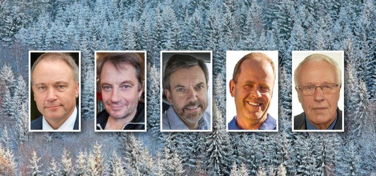 Kändisarna som köpt Sveaskog