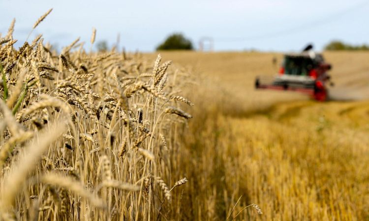 Svensk matexport ökade med tre miljarder