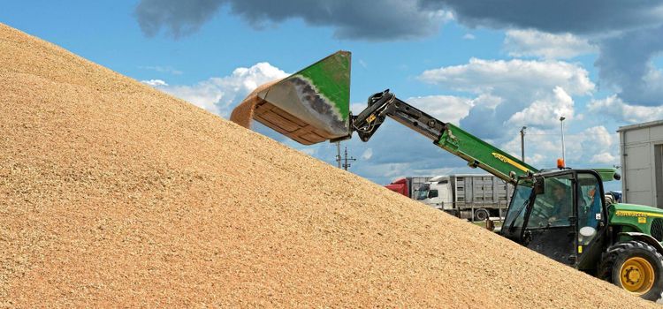 Spannmålsmäklare hittar efterfrågan