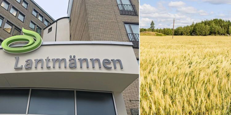 Lantmännen satsar på hälsosam mat och foder