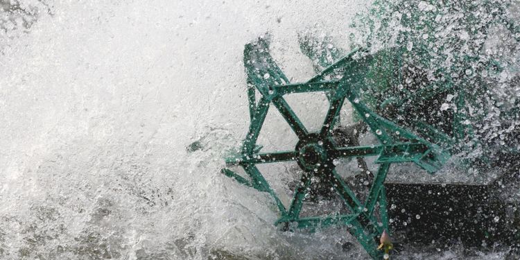 Förlorare trots att han nu fått rätt