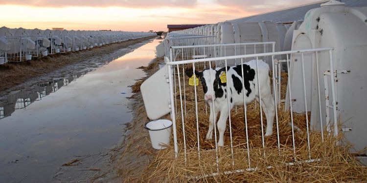 6 000 kor i senaste anläggningen