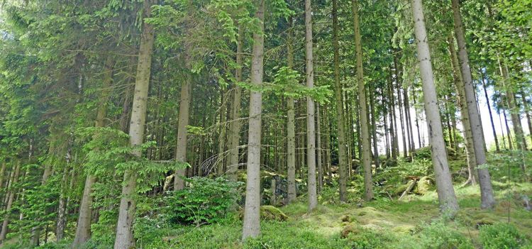 Svenskar kan nypa norska storkontrakt