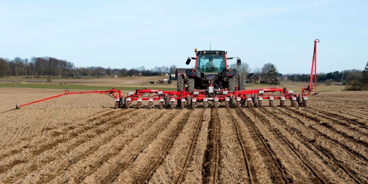 Rådgivare: Så långt har vårbruket kommit