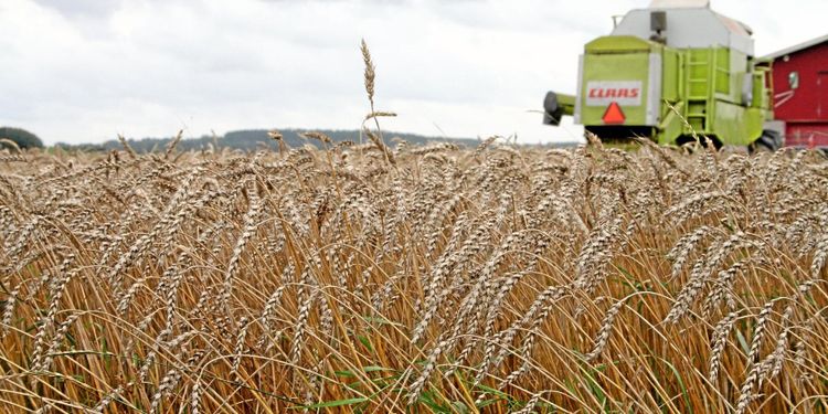 Bättre prisinformation till lantbrukare