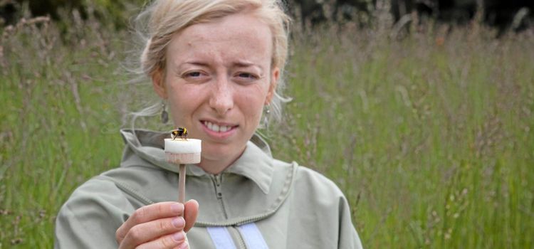 Här får varje bi ett eget nummer