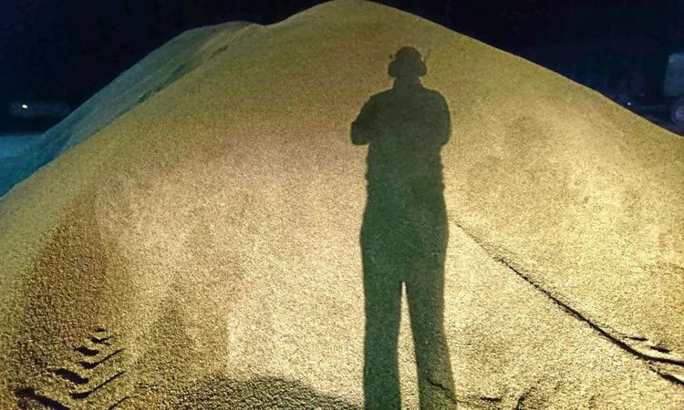 Snart ny VD på plats