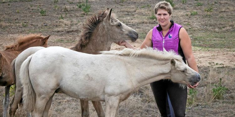 Skånsk satsning på sällsynt hästras