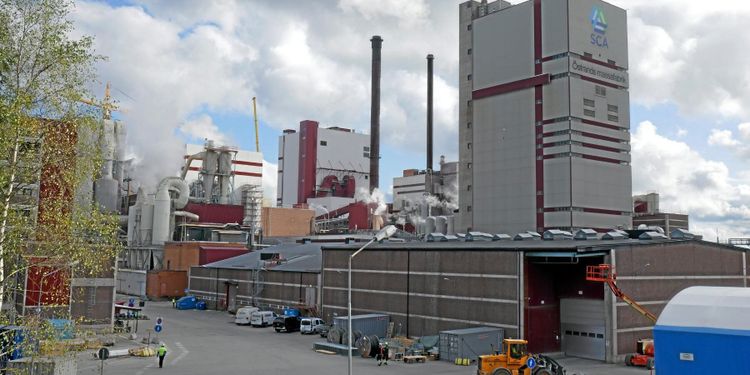 Analytiker tror på vinstökning för SCA