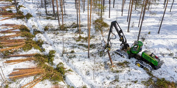 Så många ansökte om att avverka skog