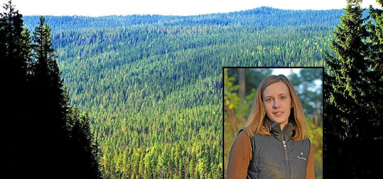 330 000 skogsägare en tillgång för naturvården