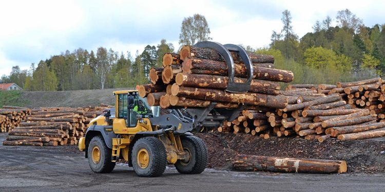 Ökande timmerpriser globalt