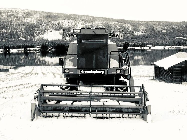 Han hann - innan snön föll