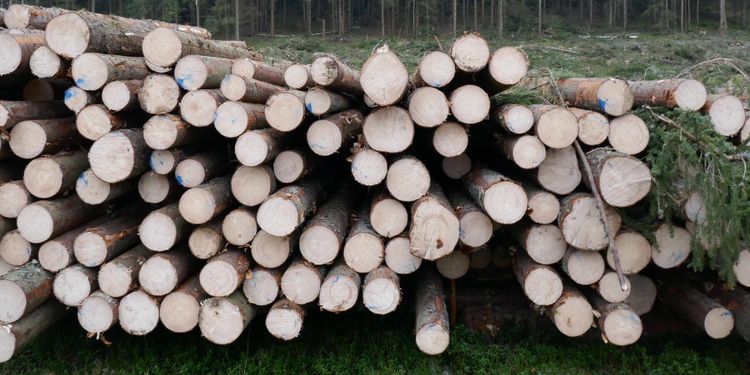 Historiskt högt kvartalsresultat för Holmen