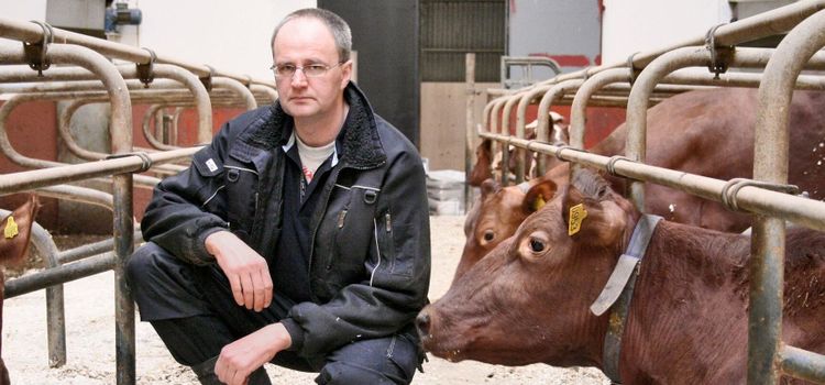 Mjölkbonden Borgström kan ta över