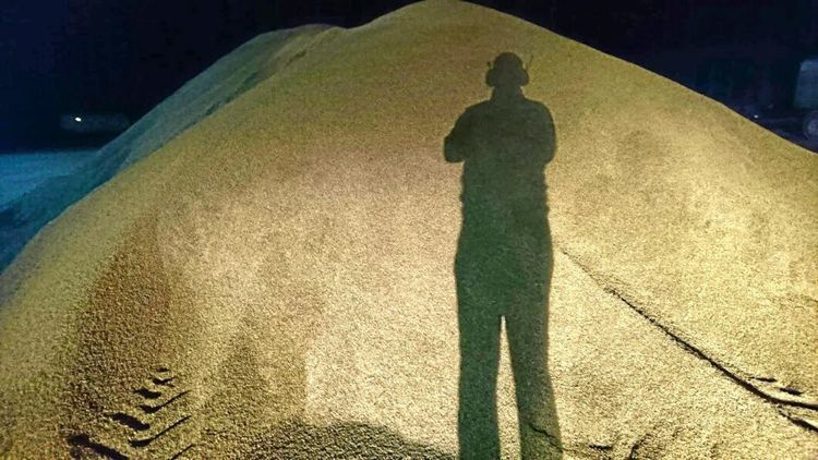 Fullt i norr - otorkad spannmål fraktas söderut